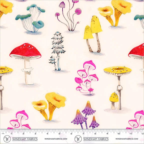 Market - Mushrooms Ivory