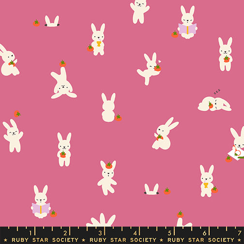 Persimmon - Bun E and Simmy Hibiscus