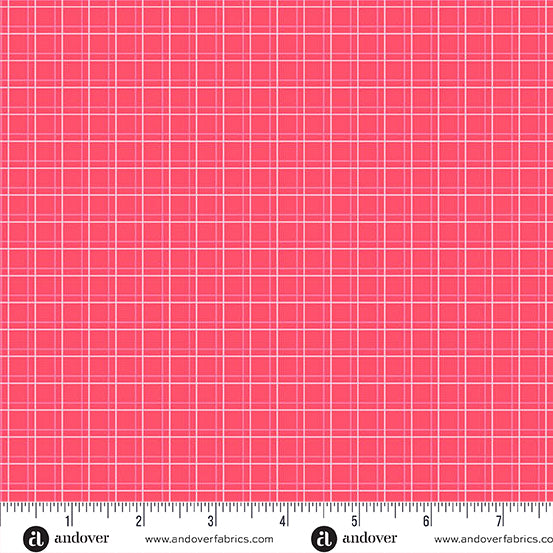 Color Pop Playground -Parallel Play - Watermelon