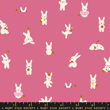 Persimmon - Bun E and Simmy Hibiscus