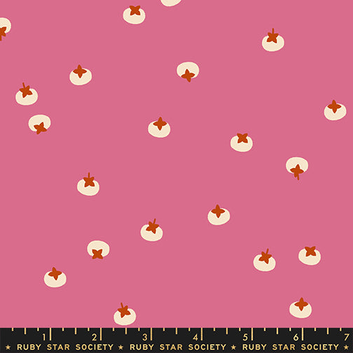 Persimmon - Persimmons Hibiscus