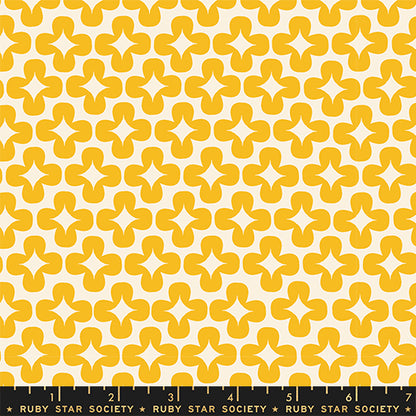 Persimmon - Leaf Dandelion