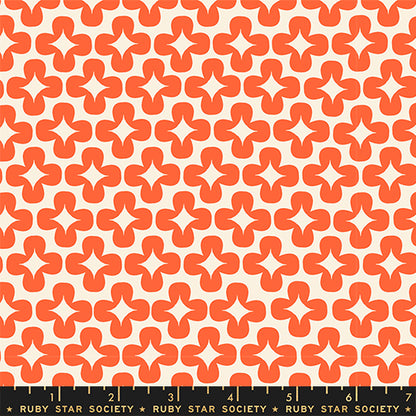 Persimmon - Leaf Florida