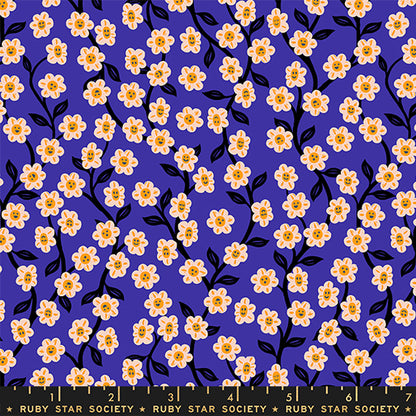 Balderdash - Quilt Kit